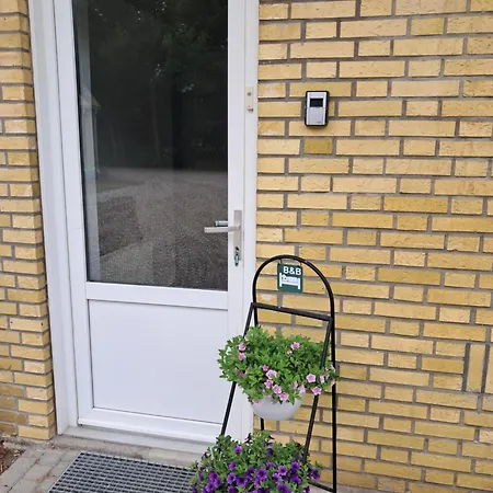 Naturskont Naer Vikingecenter, Se Og Oplev Den Gamle By Ribe