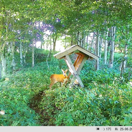 Naturskont Naer Vikingecenter, Se Og Oplev Den Gamle By Apartamento Ribe