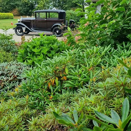 Naturskont Naer Vikingecenter, Se Og Oplev Den Gamle By